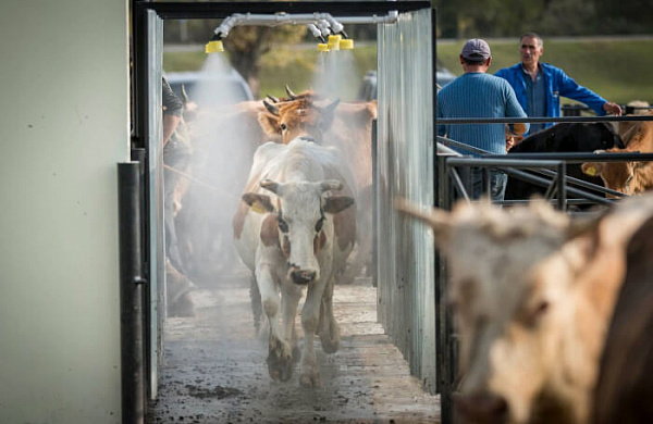 Лучшее лечение – это профилактика!