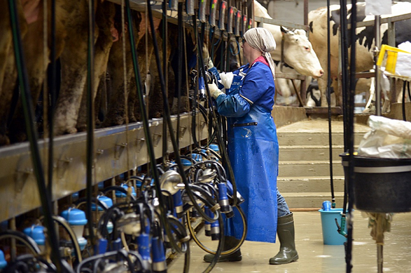 Объём реализации молока в сельхозорганизациях.