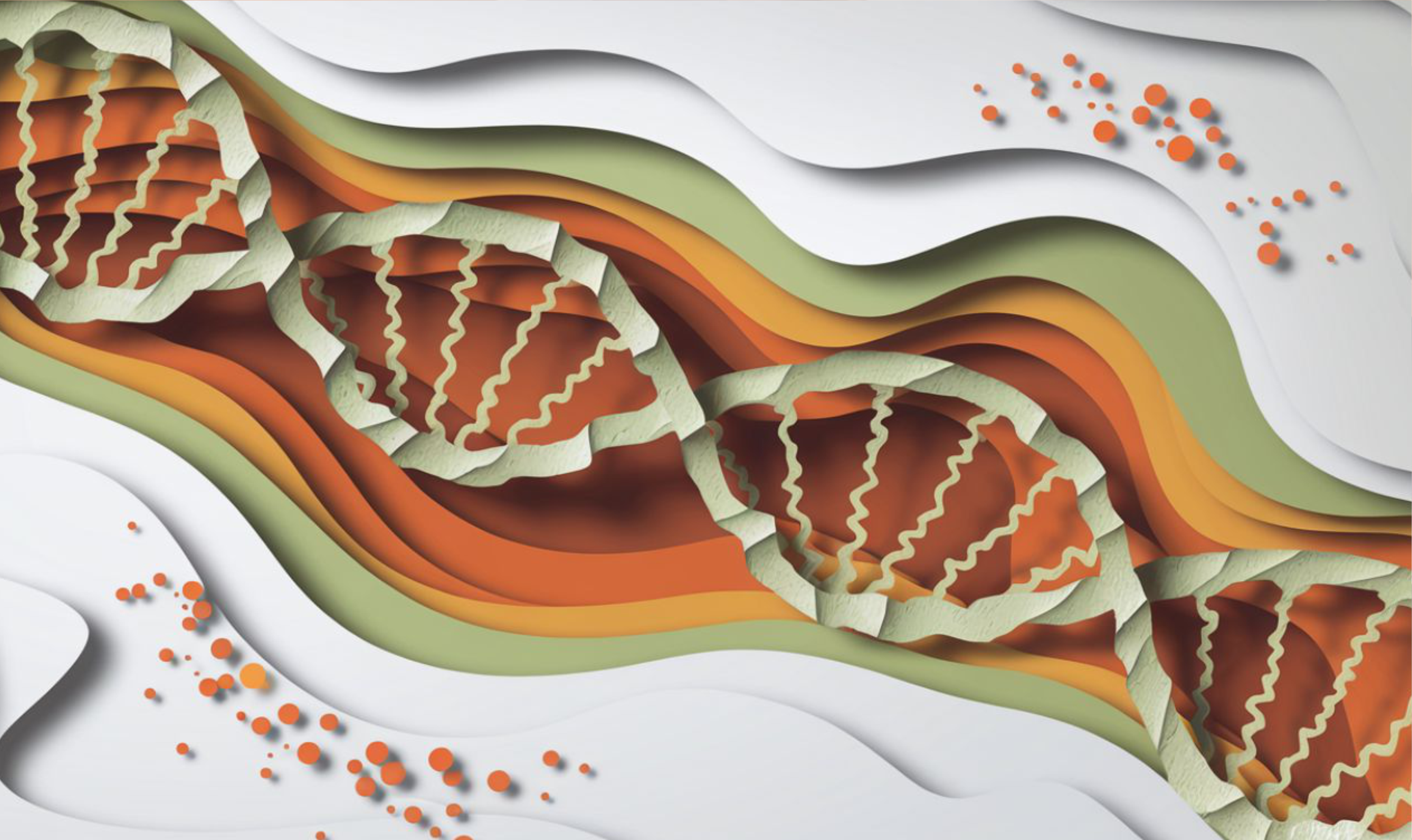 Основы ПЦР-диагностики