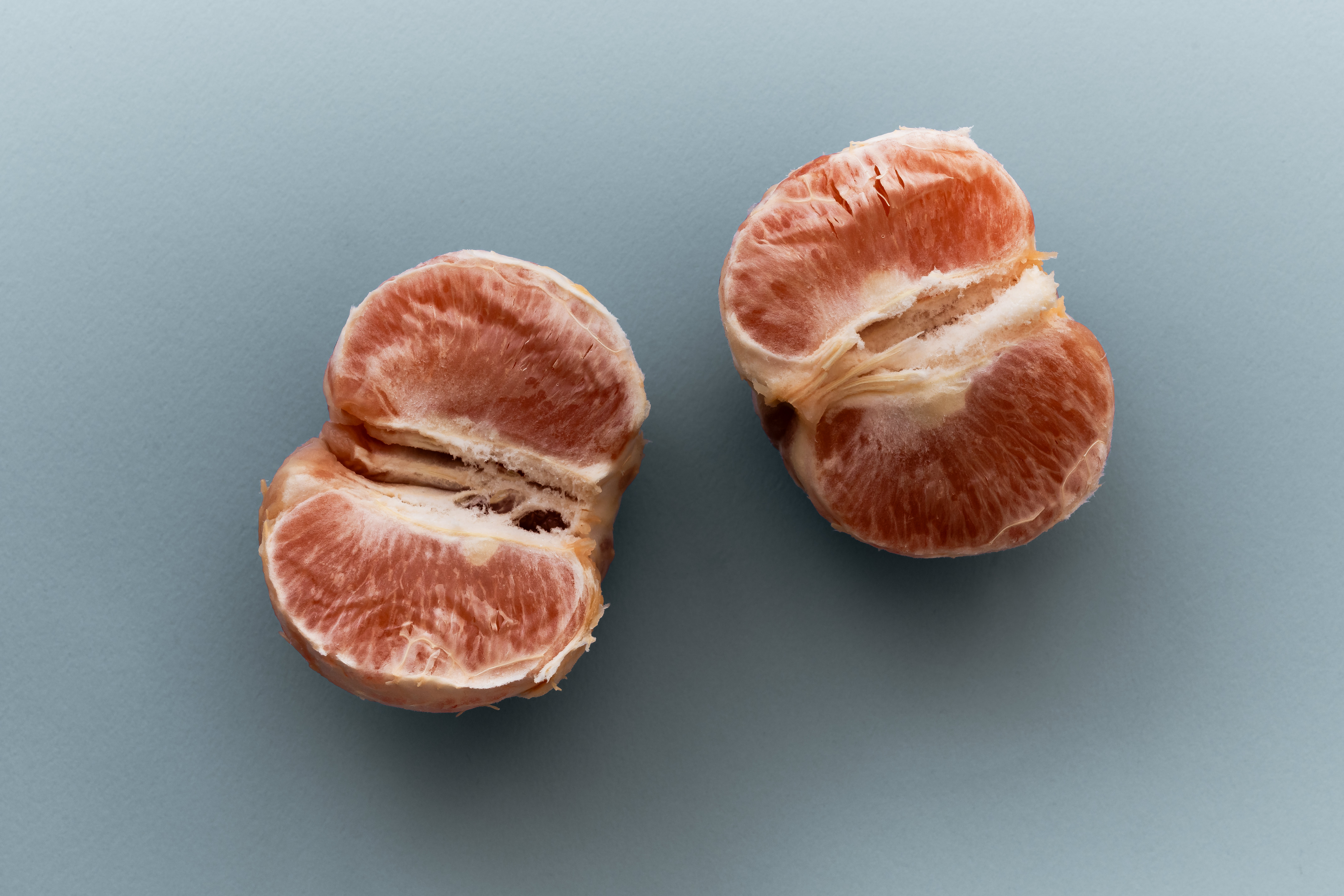 Механизмы порчи пищевых продуктов и меры сдерживания порчи